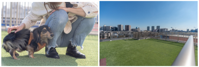 ペットと自由に暮らす、帰らない日は家賃がかからない家「PET Hills unito KAMATA」がオープンのサブ画像7