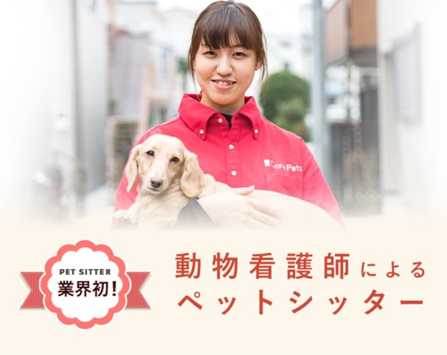 ” 業界大手”ペットシッター会社CARE PETSと提携し、ドックフレンドリーホテルにてドッグペットシッターサービスを開始。のサブ画像2