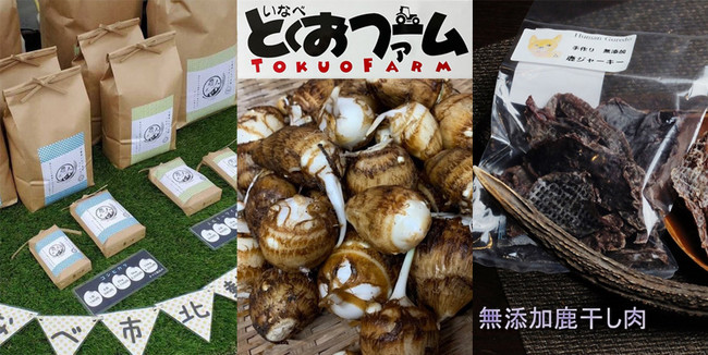 犬とキャンプと地域の魅力を掛け合わせたマルシェを初開催！犬と泊まれるキャンプ場「やまてらす-FUJIWARA OUTDOOR LIVING-」に隣接する遊休地を有効活用。のサブ画像12