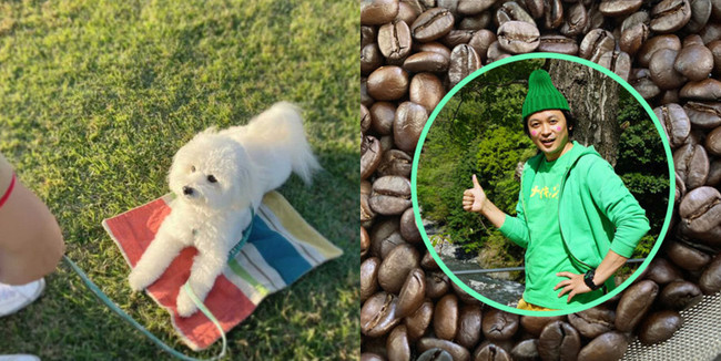 犬とキャンプと地域の魅力を掛け合わせたマルシェを初開催！犬と泊まれるキャンプ場「やまてらす-FUJIWARA OUTDOOR LIVING-」に隣接する遊休地を有効活用。のサブ画像5