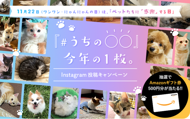 【投稿キャンペーン】『#うちの○○』今年の１枚。Instagram投稿キャンペーン始めます。のサブ画像1_『#うちの○○』今年の１枚。Instagram投稿キャンペーン
