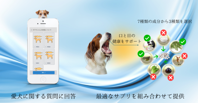 2021年11月22日本格販売開始！あなたの愛犬だけのサプリ『topet』をリリース -獣医師が愛犬に合わせてカスタマイズ-のサブ画像1