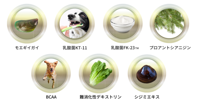 2021年11月22日本格販売開始！あなたの愛犬だけのサプリ『topet』をリリース -獣医師が愛犬に合わせてカスタマイズ-のサブ画像2
