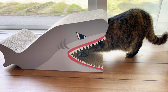 猫ちゃんの可愛らしい姿がたまらない！ペットアイテムの新作が登場！コメリのオリジナルブランド「ペットアミ」から「電動またたびぐるみ」「爪とぎ」がデビューのメイン画像