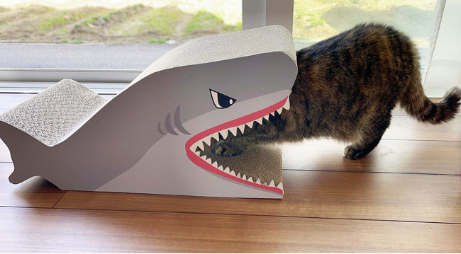 猫ちゃんの可愛らしい姿がたまらない！ペットアイテムの新作が登場！コメリのオリジナルブランド「ペットアミ」から「電動またたびぐるみ」「爪とぎ」がデビューのサブ画像1