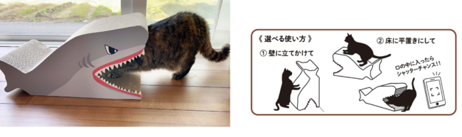 猫ちゃんの可愛らしい姿がたまらない！ペットアイテムの新作が登場！コメリのオリジナルブランド「ペットアミ」から「電動またたびぐるみ」「爪とぎ」がデビューのサブ画像7