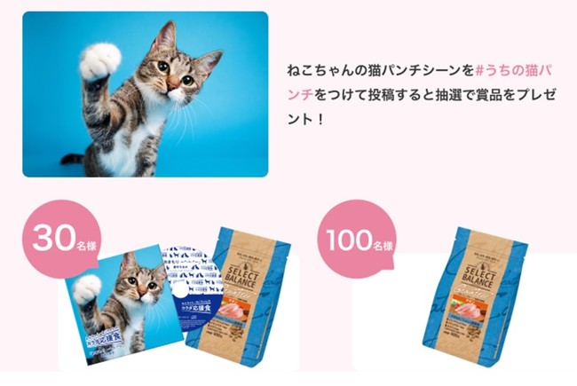 11月15日(月)から元気でエネルギッシュな愛犬を12月6日(月)から猫パンチシーンの愛猫を撮影して応募するTwitterキャンペーン開催のサブ画像3