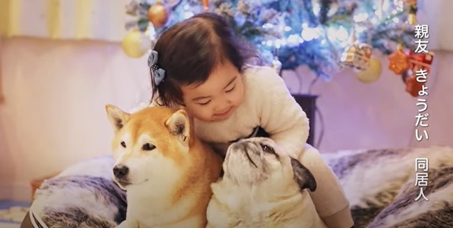 11月15日(月)から元気でエネルギッシュな愛犬を12月6日(月)から猫パンチシーンの愛猫を撮影して応募するTwitterキャンペーン開催のサブ画像6