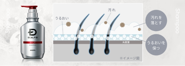 アンファー×西武ペットケア　犬の皮膚の薄さは人間の約1/3！デリケートな愛犬の皮膚を優しくケア　ペットケアシリーズ「Hug One（ハグワン）」誕生のサブ画像6