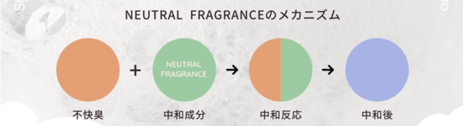 アンファー×西武ペットケア　犬の皮膚の薄さは人間の約1/3！デリケートな愛犬の皮膚を優しくケア　ペットケアシリーズ「Hug One（ハグワン）」誕生のサブ画像8