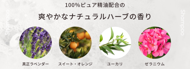 アンファー×西武ペットケア　犬の皮膚の薄さは人間の約1/3！デリケートな愛犬の皮膚を優しくケア　ペットケアシリーズ「Hug One（ハグワン）」誕生のサブ画像9