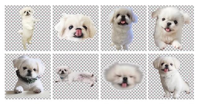 【ムーチョ×ヴィレッジヴァンガード】～かわいい『ムーチョ』のオリジナルグッズが受注スタート！～のサブ画像11