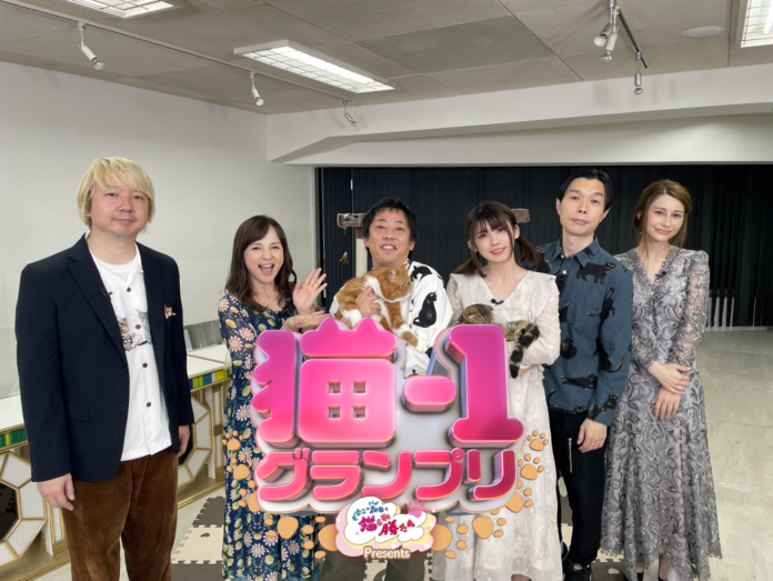 芸能界の猫好きNo.1が決定！「“えなこ×さらば森田の猫しか勝たん”presents猫-1グランプリ」テレビ大阪2022年1月2日(日)深夜0時放送！のメイン画像