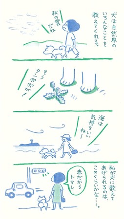 『柴犬処方箋』で、ほんわり心のお手当てを。柴犬から学ぶ、自分らしく生きるヒント集のサブ画像11