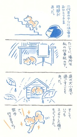 『柴犬処方箋』で、ほんわり心のお手当てを。柴犬から学ぶ、自分らしく生きるヒント集のサブ画像2