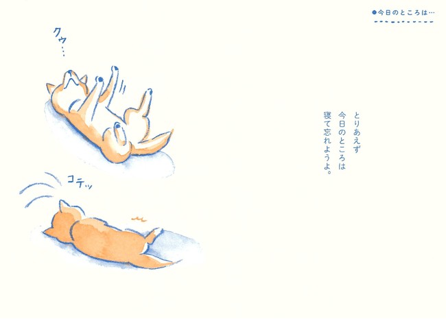 『柴犬処方箋』で、ほんわり心のお手当てを。柴犬から学ぶ、自分らしく生きるヒント集のサブ画像3
