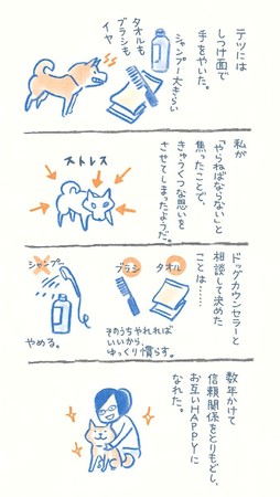 『柴犬処方箋』で、ほんわり心のお手当てを。柴犬から学ぶ、自分らしく生きるヒント集のサブ画像5