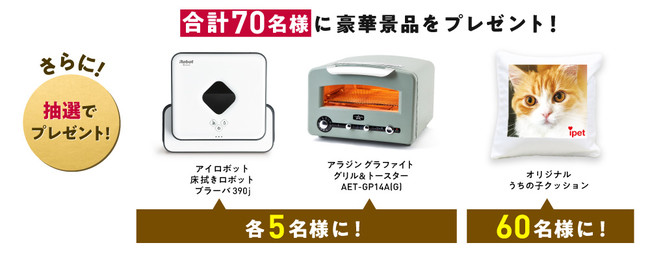 「まもなく保有契約件数70万件突破！ありがとうキャンペーン」開始！のサブ画像3