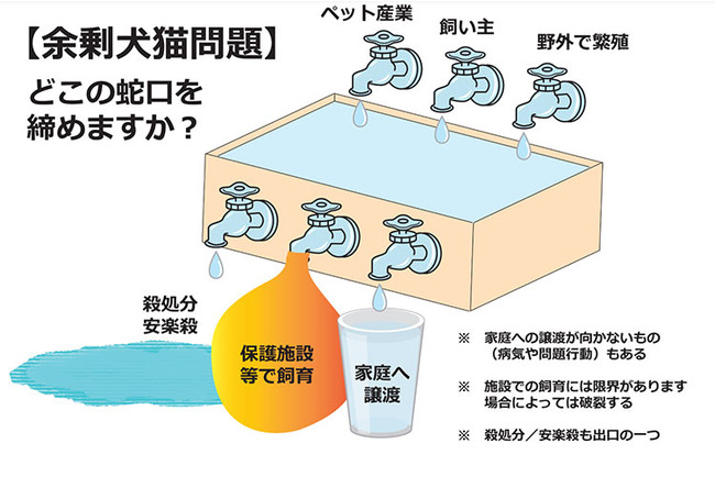 『人と動物の共生大学』は、なぜ必要か。獣医師・奥田順之氏インタビュー。のサブ画像2