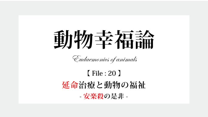 動物の延命治療と安楽死の是非問う、動物福祉と動物倫理から学ぶ『動物幸福論』12月25日（日）開催のメイン画像
