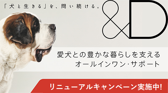 メニコン「&D」のコアサービス「犬のみらい保障」がスタート！のサブ画像1