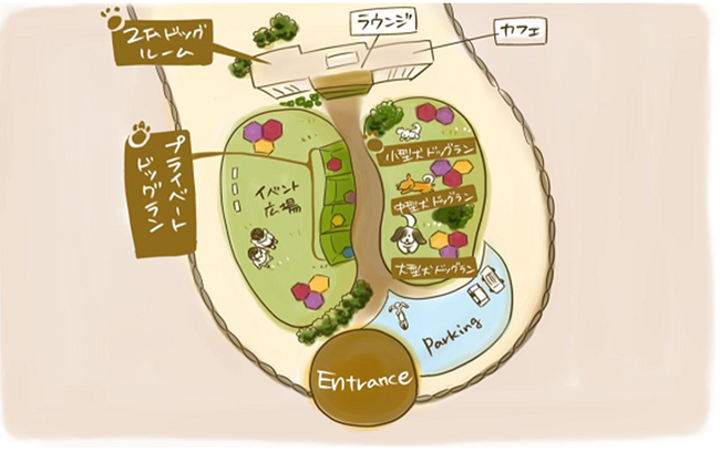 メニコン「&D」のコアサービス「犬のみらい保障」がスタート！のサブ画像2