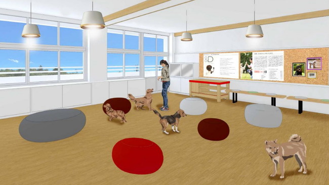 メニコン「&D」のコアサービス「犬のみらい保障」がスタート！のサブ画像3