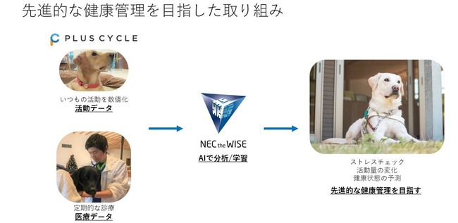IoT x AI x 動物医療で、盲導犬の先進的な健康管理を目指した取り組みを開始！のサブ画像3