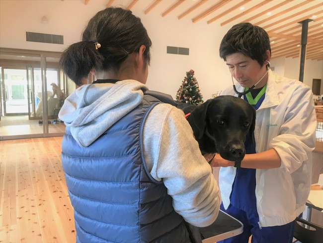 IoT x AI x 動物医療で、盲導犬の先進的な健康管理を目指した取り組みを開始！のサブ画像5