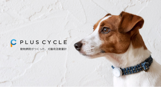 IoT x AI x 動物医療で、盲導犬の先進的な健康管理を目指した取り組みを開始！のサブ画像6