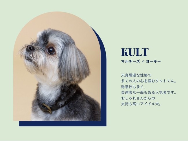 累計フォロワー数18万人を超える『インスタの愛され犬』、CITYDOGと初となるコラボアイテムを発表のサブ画像3_@kultdayo