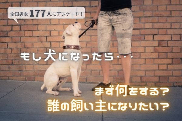 目覚めたとき犬になってたらどうする？なりたい犬種ランキング1位は「柴犬」！飼い主になってほしい人は「相葉雅紀さん」の声が多数！【177人アンケート】のサブ画像1