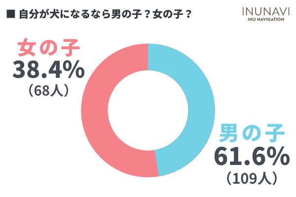 目覚めたとき犬になってたらどうする？なりたい犬種ランキング1位は「柴犬」！飼い主になってほしい人は「相葉雅紀さん」の声が多数！【177人アンケート】のサブ画像4