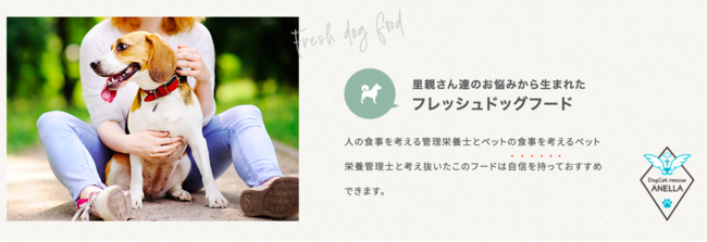 【本当に安心できる愛犬のごはん】プレバイオティクスに注目したドッグフードのサブ画像3