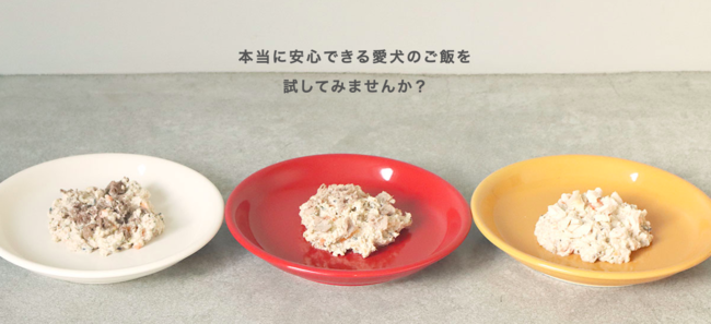 【本当に安心できる愛犬のごはん】プレバイオティクスに注目したドッグフードのサブ画像6