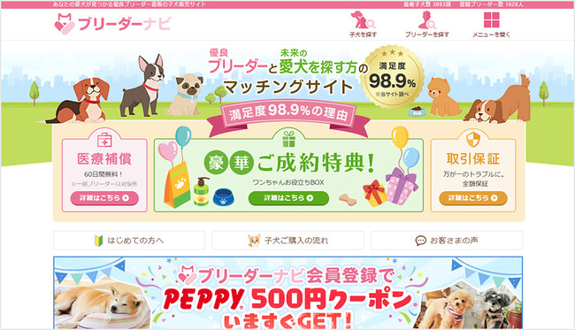 ～ブリーダーナビの新たな成約特典～大切な家族のことで困った時すぐに相談できる方はいますか？安心してワンちゃんと過ごしていただきたいから…のサブ画像6