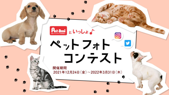 自慢のわんちゃん・ねこちゃんのベストショットを写真に撮ろう！「Pet amiといっしょ♪ペットフォトコンテスト」の開催が決定　グランプリにはコメリギフトカード3万円分をプレゼント！のメイン画像
