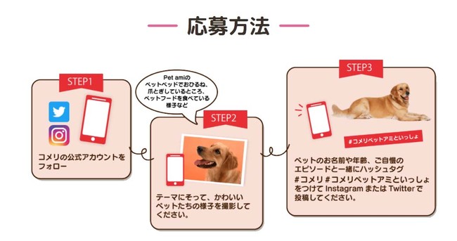 自慢のわんちゃん・ねこちゃんのベストショットを写真に撮ろう！「Pet amiといっしょ♪ペットフォトコンテスト」の開催が決定　グランプリにはコメリギフトカード3万円分をプレゼント！のサブ画像2