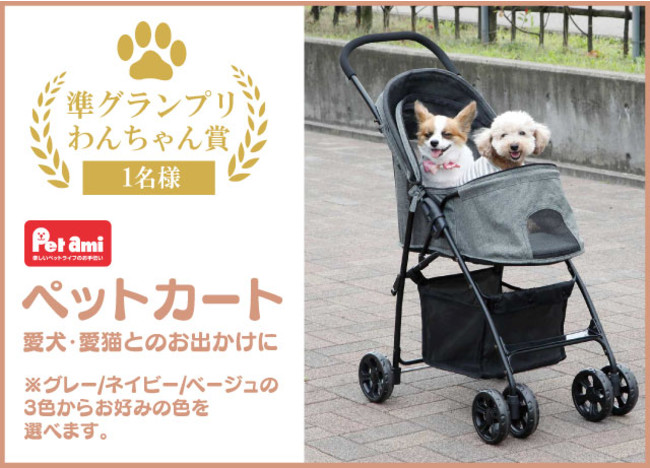 自慢のわんちゃん・ねこちゃんのベストショットを写真に撮ろう！「Pet amiといっしょ♪ペットフォトコンテスト」の開催が決定　グランプリにはコメリギフトカード3万円分をプレゼント！のサブ画像4