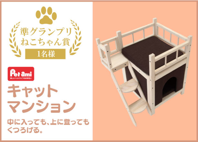 自慢のわんちゃん・ねこちゃんのベストショットを写真に撮ろう！「Pet amiといっしょ♪ペットフォトコンテスト」の開催が決定　グランプリにはコメリギフトカード3万円分をプレゼント！のサブ画像5