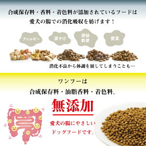 愛犬の健康を追求した「プレミアムドッグフード」が返礼品として登場！～大切なわんちゃんの健康を守りたいあなたに～のサブ画像3