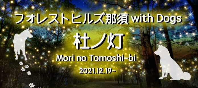 愛犬と泊まれるリゾート施設「ホテルフォレストヒルズ那須 with Dogs」、夜の散歩道を照らすイルミネーション「杜の灯」開始のメイン画像
