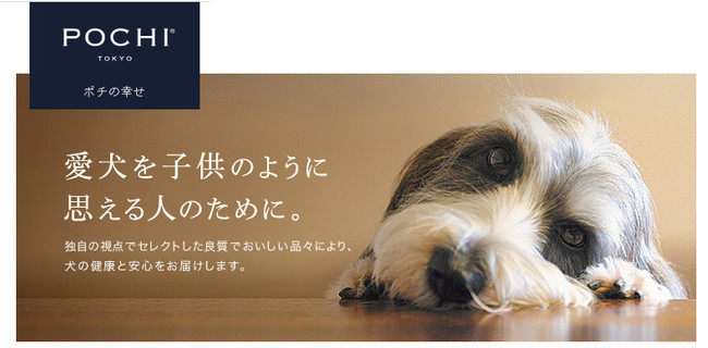 《POCHI》2022年1月24日（月）より、新オフィスで営業開始のサブ画像1