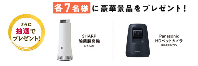ご好評につき延長！保有契約件数70万件突破！ありがとうキャンペーンのサブ画像3