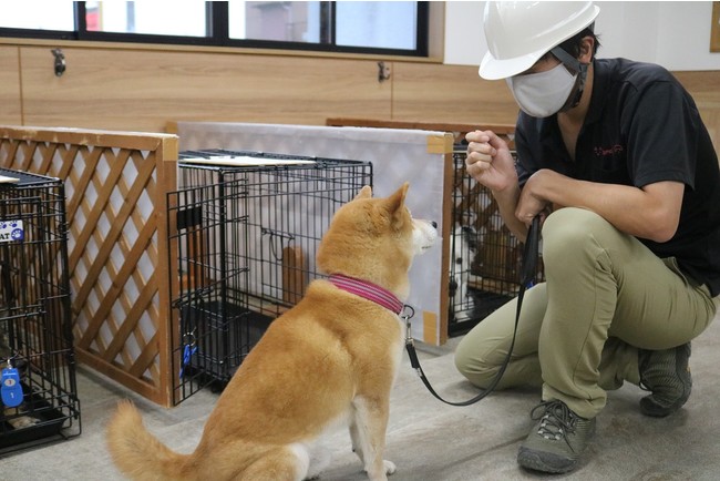 全国動物避難所マップ、動物避難所掲載の募集開始。1月17日（月）説明会開催します。のサブ画像2_動物避難所開設訓練の様子（岐阜県岐阜市）