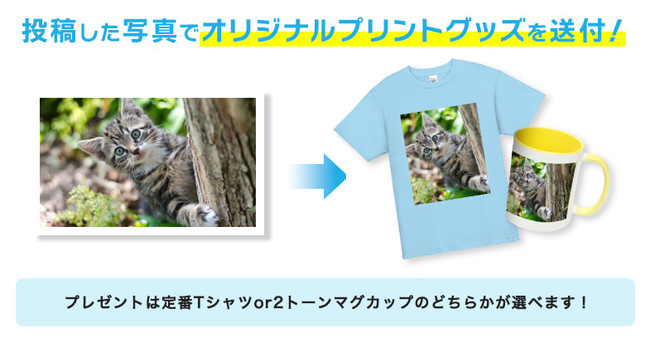 ペット(犬or猫)フォトコンテスト開催！写真をプリントしたオリジナルTシャツ・マグカップどちらか1つが無料で作れるクーポンを5名様にプレゼント♪-オリジナルTシャツTMIXのサブ画像2