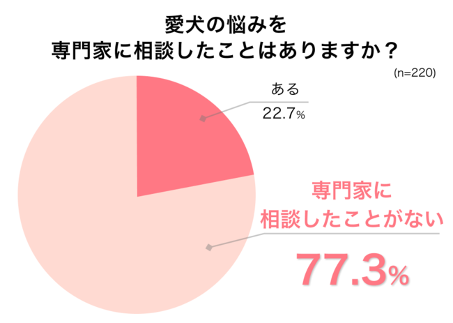 “500人の飼い主の声”から開発されたオーダーメイドカリキュラムを全国どこからでも受講オンラインドッグスクール「ｗandemy（ワンデミー）」が開校のサブ画像6