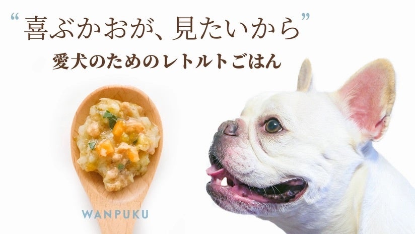 【Makuakeにて開始１分で目標達成、開始24時間で１００万円応援額を突破！】１２００%越えの達成率！素材と栄養にこだわったドッグフード「WANPUKU」誕生！具たっぷり「犬のレトルトごはん」のサブ画像1