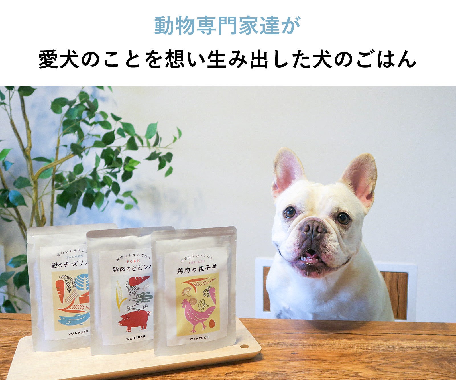 【Makuakeにて開始１分で目標達成、開始24時間で１００万円応援額を突破！】１２００%越えの達成率！素材と栄養にこだわったドッグフード「WANPUKU」誕生！具たっぷり「犬のレトルトごはん」のサブ画像2