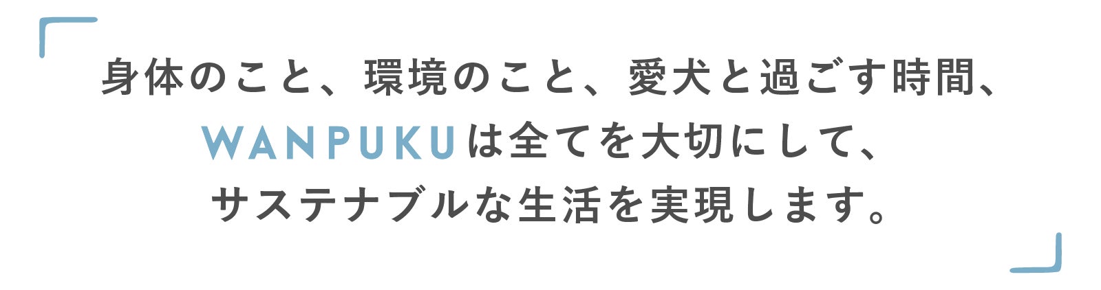【Makuakeにて開始１分で目標達成、開始24時間で１００万円応援額を突破！】１２００%越えの達成率！素材と栄養にこだわったドッグフード「WANPUKU」誕生！具たっぷり「犬のレトルトごはん」のサブ画像7